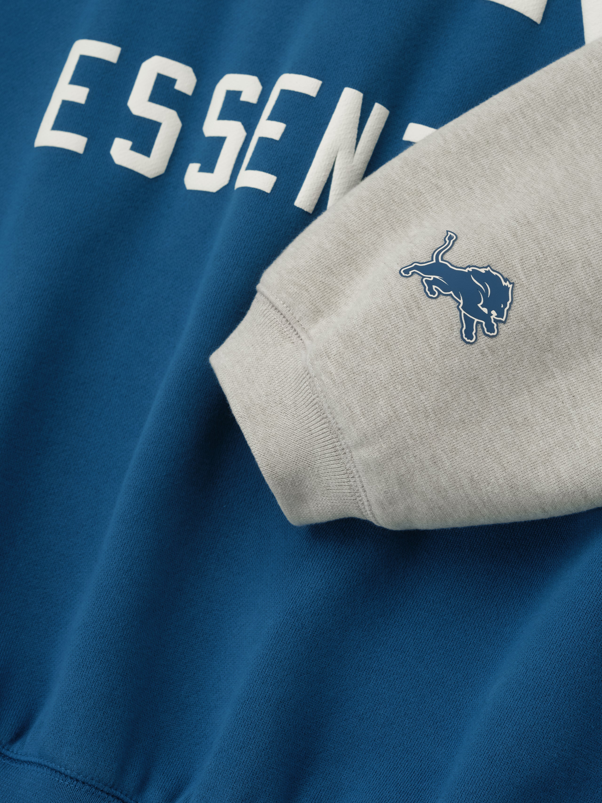 Lions Sport Hoodie
